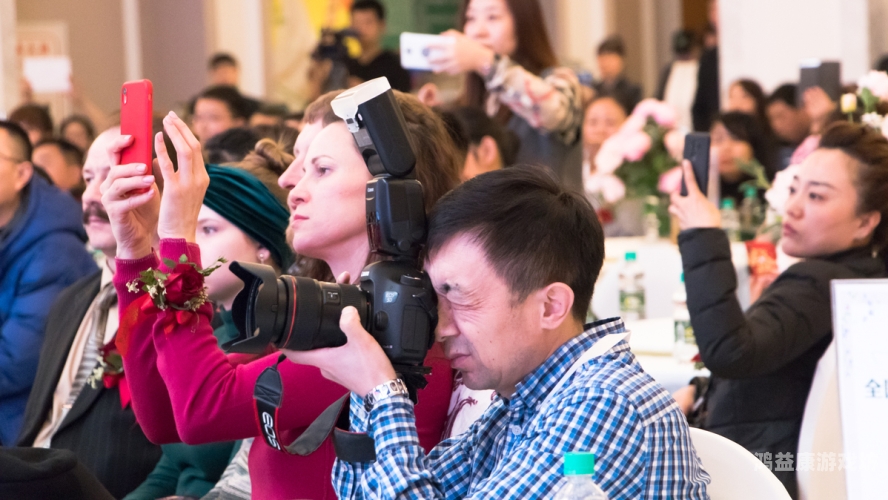 国内精品九九久久精品一本国内精品九九久久精品一本，探索中国高品质产品的独特魅力