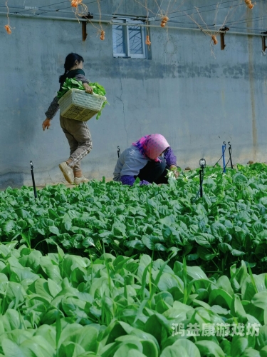 丁香五月天av绿色丁香五月天，探索绿色生活的美好与意义