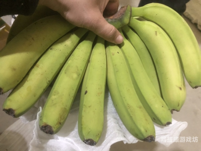 777久久香蕉国产线看观看，国产香蕉产业的崛起与挑战