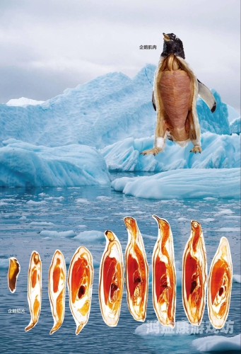 探索亚洲欧美在线综合图区的多样性与文化融合