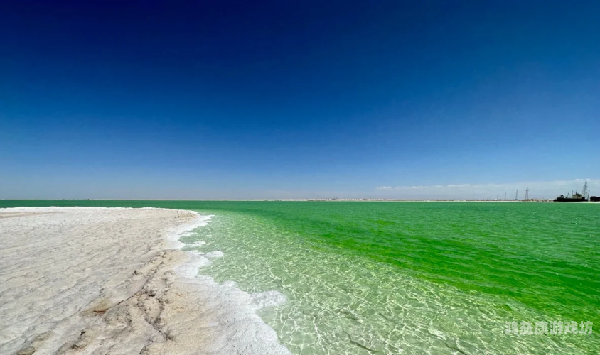 探索亚洲无码精品一二专区，深度解析其内容与影响