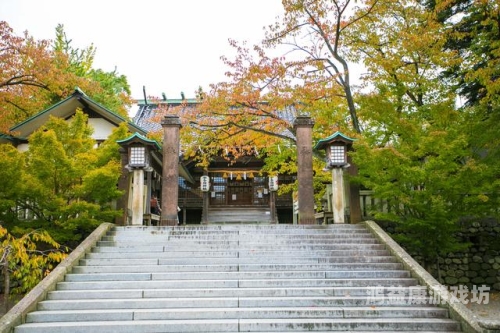 日本一点不卡高清日本网络体验为何如此流畅？揭秘日本一点不卡高清背后的秘密