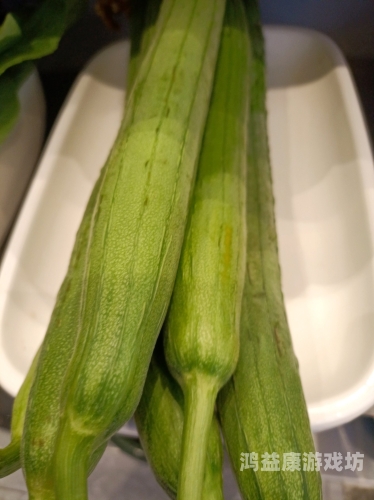 亚洲、欧美、日韩及国产丝瓜的多样性与全球影响