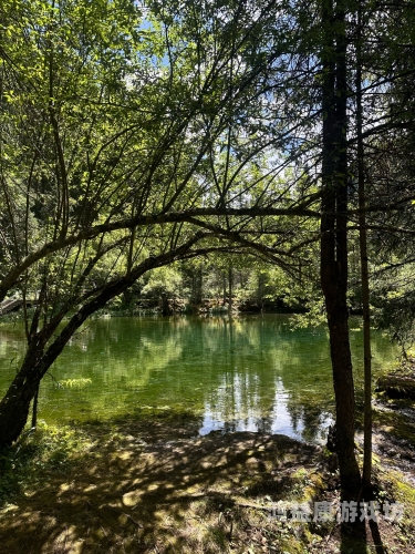 久久青青草原精品综合免费，探索自然之美与生态保护的重要性