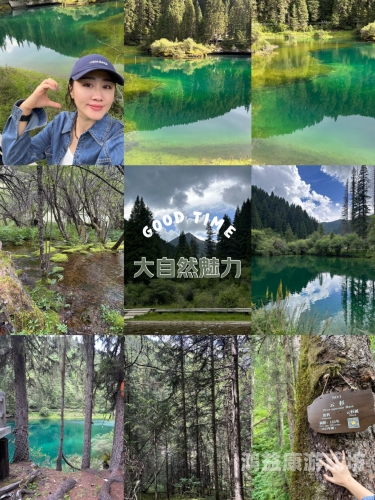 久久青青草原精品综合免费，探索自然之美与生态保护的重要性