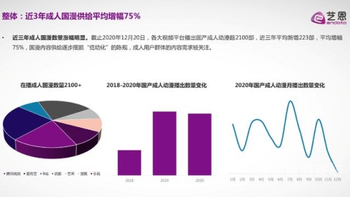 欧美成人国产精品视频，市场现状、发展趋势与文化影响