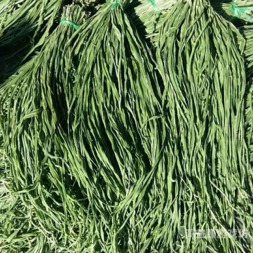 精品无码综合一区二区三:精品无码综合一区二区三，探索互联网影视资源的多元化发展