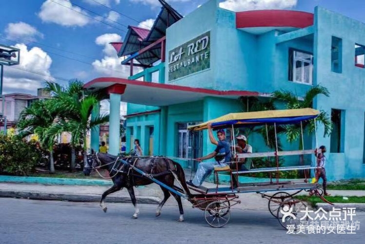 一本色道久久88加勒比—综一本色道久久88加勒比—综，深度解析加勒比文化与色道艺术的交融
