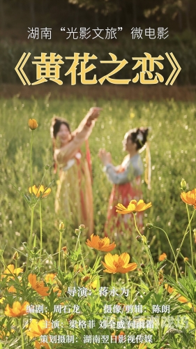 精品国内自产拍在线看99精品国内自产拍在线看99，国产影视作品的崛起与未来展望