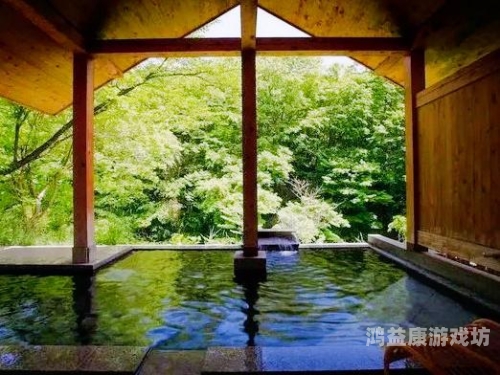 日本免费一级一区二区三区，深入了解日本行政区划与文化特色