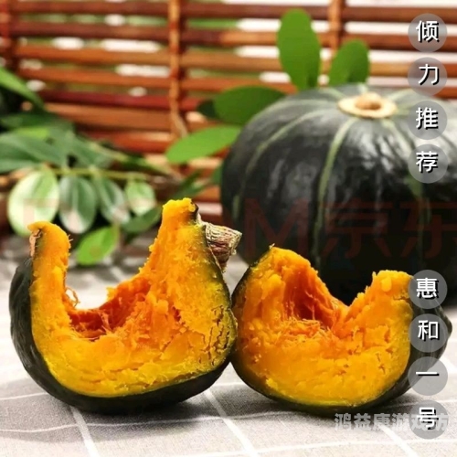 国产精品无码AV一区二区三区，内容解析与市场趋势分析