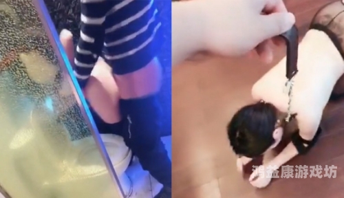 99re热视频这里只精品599re热视频这里只精品5，深度解析其内容与市场影响