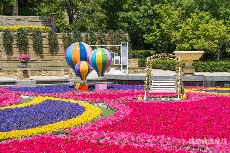 亚洲综合男人的天堂，探索多元文化与无限魅力的交汇之地