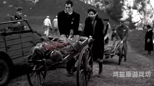 国产精品三级在线国产精品三级在线，探索中国电影产业的多元化发展