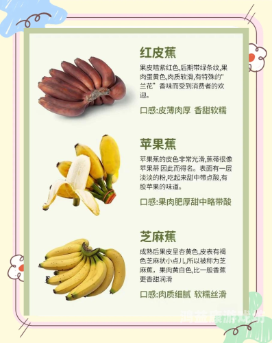 久久频这里精品99香蕉久久频这里精品99香蕉，探索香蕉的营养价值与水蜜桃在线播放益处
