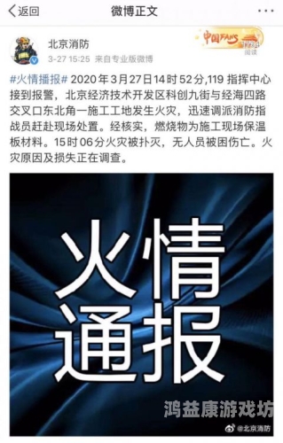 高清一区无码在线观看高清一区无码在线观看，网络安全与版权保护的警示