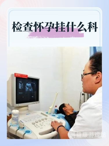 孕妇无码区划分，一区、二区、三区的详细解析与水蜜桃在线播放指南 一区二区