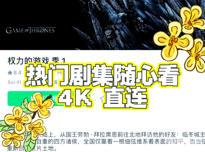 在线观看播放国产一区播放，热门影视资源推荐与观看指南