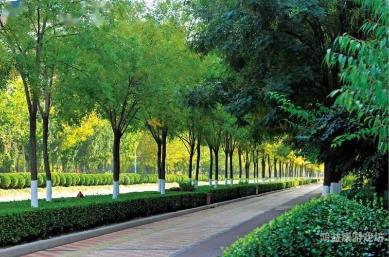 久久清清草视频，绿色生活的倡导者还是生态破坏的隐患？久热青青视频在线观看 172.82.171.2