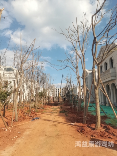 亚洲国产成人精品不卡青青草原亚洲国产成人精品不卡青青草原，探索数字娱乐的新趋势