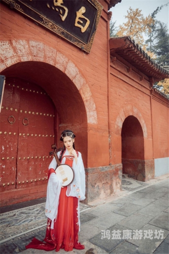 亚洲成人综合中文伊人，探索文化与审美的独特魅力