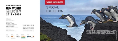 久久综合九色综合欧洲98，探索欧洲多元文化的独特魅力久久综合九色综合欧洲豆