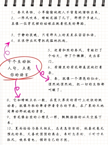 探索日韩精品一级一区的独特魅力与文化内涵