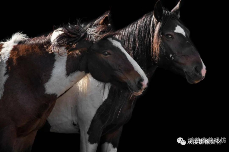 欧美一区二区精品性，文化差异与市场趋势深度解析欧美一区二区精品性感