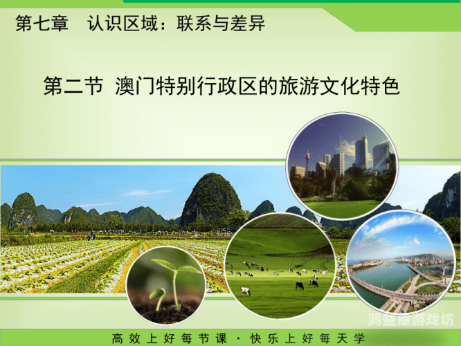 欧美一区二区精品性，文化差异与市场趋势深度解析欧美一区二区精品性感