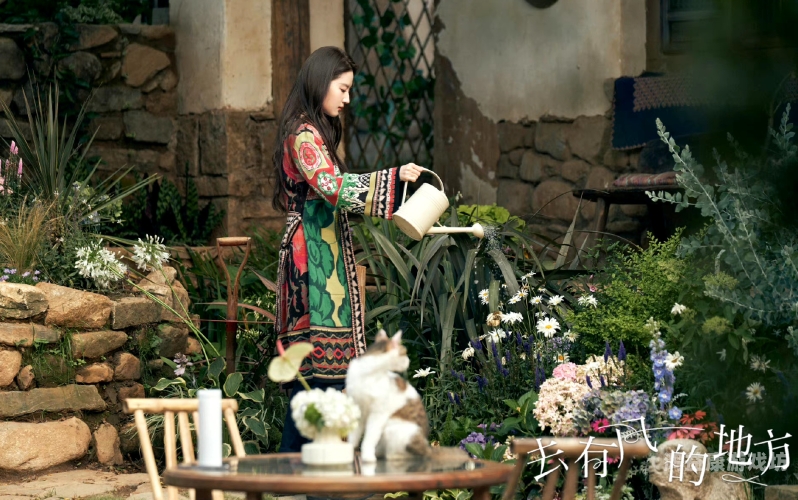 国产精品剧集持续热播，观众追捧背后的文化自信与创新力量