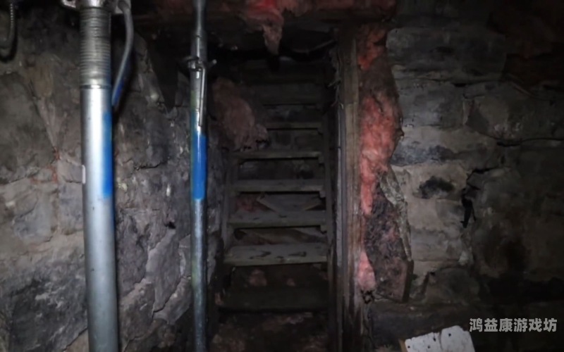 探索午夜三级国产精品理论三级，文化现象与市场影响