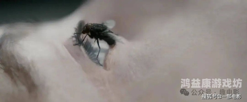 无码不卡一区二区三区在线无码不卡一区二区三区在线，高清视频流畅观看的终极指南