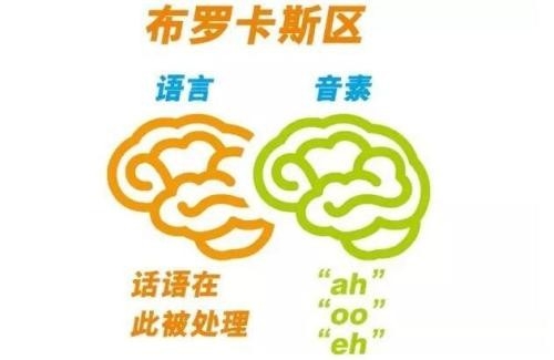 不卡一区二区三区四区五区---