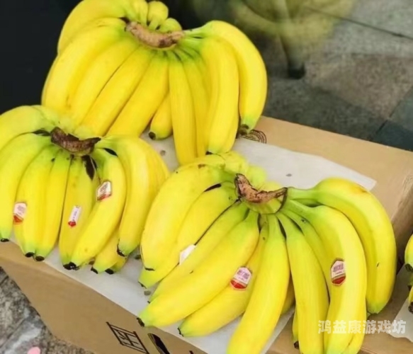 伊在人亚洲香蕉精品区