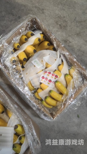 亚洲香蕉久久精品亚洲香蕉产业深度解析，从传统种植到精品化发展的久久之路