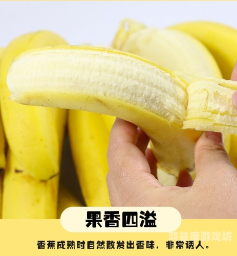 文章核心要点，亚洲第十页综合娱乐香蕉