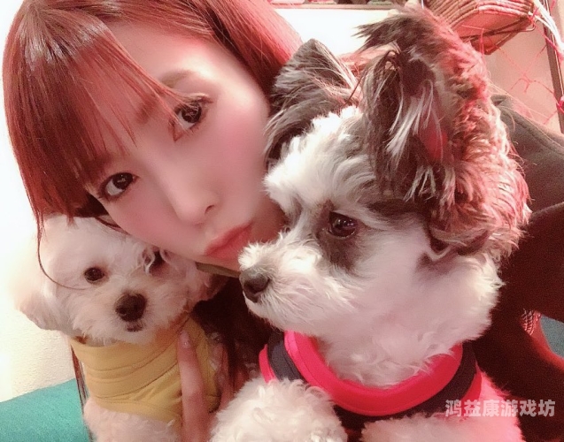 99久久伊人精品波多野结衣波多野结衣，日本AV界的传奇女优与她的演艺人生