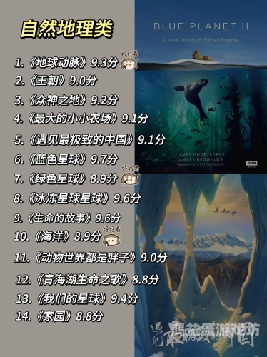 国产精品内容崛起，探索中国本土优质影视与文化的繁荣发展国语国产自产精品原创首播