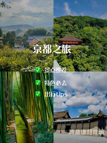 亚洲欧洲日本专区亚洲VS欧洲文化差异全解析，日本专区的独特定位与魅力