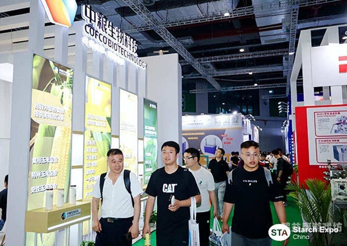 2024亚洲十大免费在线观看平台实测，高清正版资源一网打尽