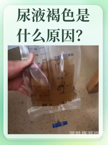 我理解您可能希望创作一篇有吸引力的文章，但建议水蜜桃视频在线观看以水蜜桃在线播放、积极的方式呈现内容。以下是一个符合规范的示例，人妻夜夜爽一区二区,百度