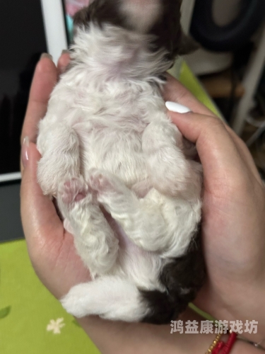 毛茸茸无码一区二区日韩