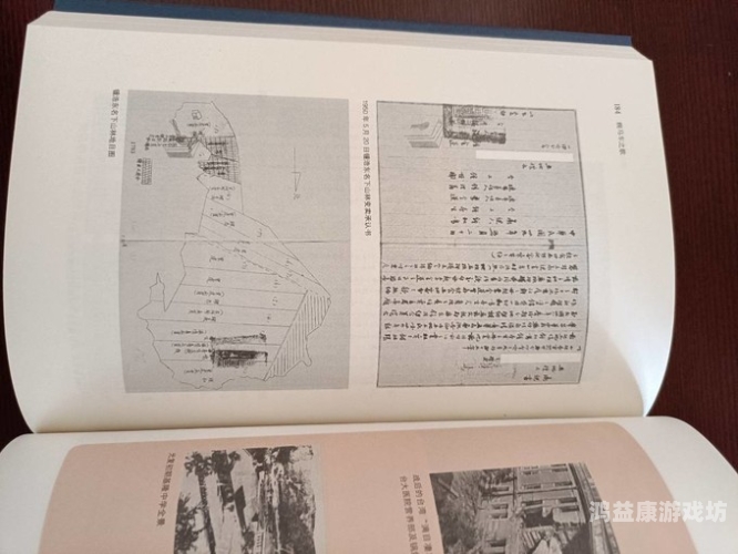 一本久道久久综合网，深度解析其功能与使用体验一本久道久久综合网一百度