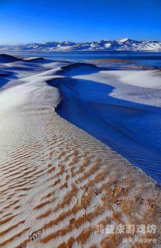 亚洲自拍文化现象全景解读，从审美变迁到社会影响(2573字深度分析)亚洲 自拍 男同 综合在线