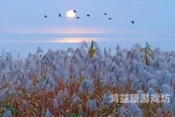 伊人夫妻中文字幕，中外文化交流的桥梁与时代印记伊人夫妻中文字幕视频