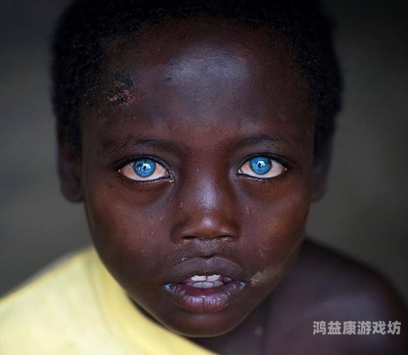 黑人欧美精美视频一区