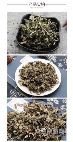 亚洲国产精品艾草