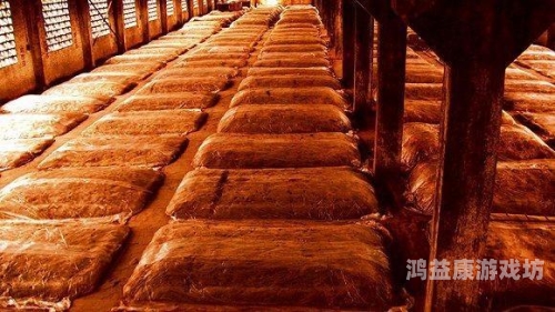 国产精品久久鸭无压制作工艺解析，传承与创新的完美结合