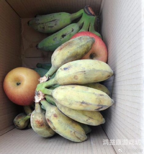 香蕉亚洲一级国产欧美1. 关键词组合较为混乱，难以理解核心主题