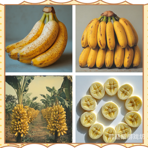 香蕉亚洲一级国产欧美1. 关键词组合较为混乱，难以理解核心主题